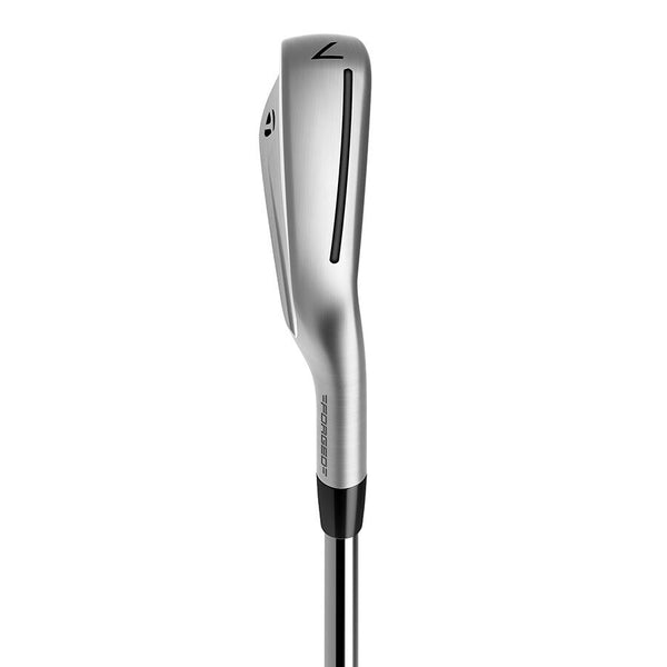 TaylorMade 2023 P790 4-PW Custom Iron