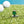 Kakao Friends Golf 2023FW Basic Support de tee et marqueur de balle - Apeach 