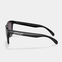 Oakley FROGSKINS (Low Bridge Fit)