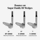 PXG Sugar Daddy III Chrome Wedge with Steel Shaft