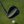 Titleist Limited Edition - SM10 Black Vapor Wedge with Steel Shaft