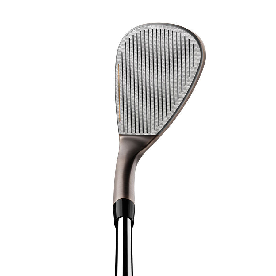 TaylorMade Hi-Toe Wedge with Dynamic Gold Shaft – GreenTee Golf Shop