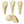 XXIO LADIES ROYAL EDITION 6 PREMIUM COMPLETE 10PC SET (GOLF BAG INCLUDED)