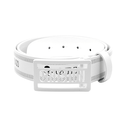 Crision Basic Metal Buckle Belt (W3) (7193644269758)