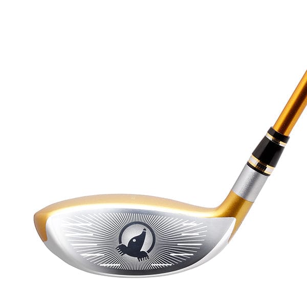 全商品オープニング価格！ Y5277 美品 HONMA GOLF BERES ML501